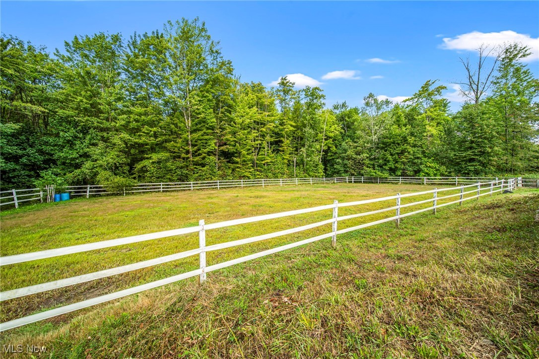 Painesville, Ohio 44077, United States, ,2 BathroomsBathrooms,Residential,Active,202410