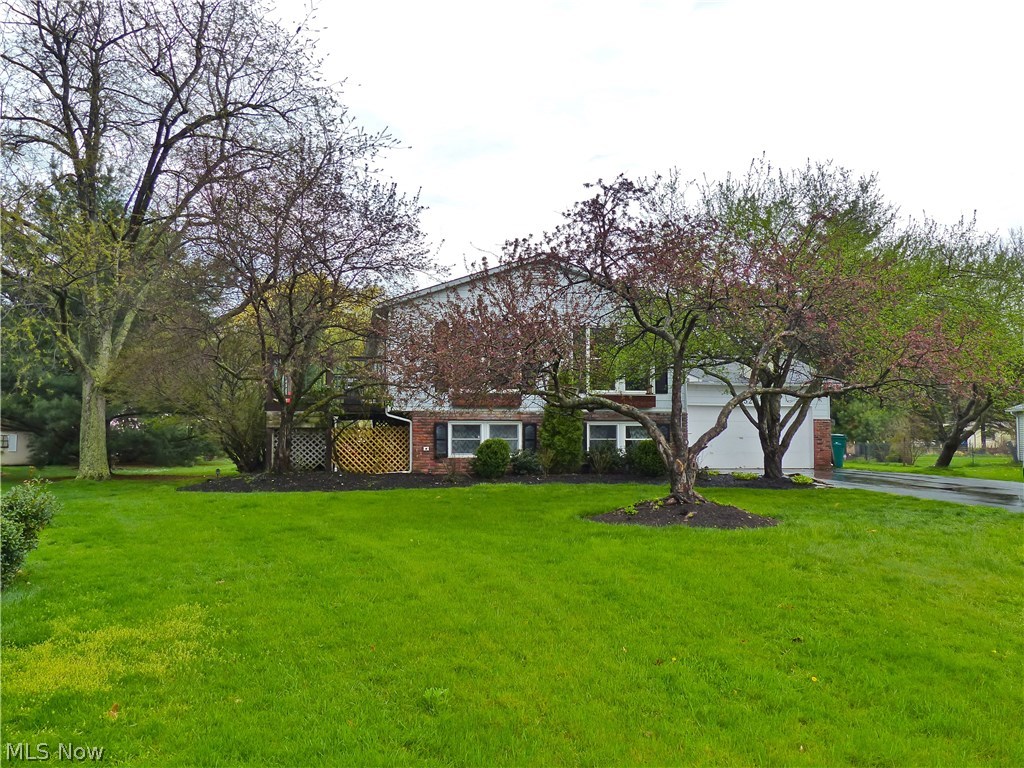 Springs Lake - Residential