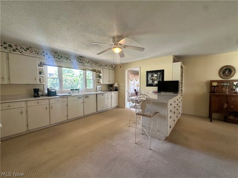 Tiny photo for 44698 Bronze Heights Lane, Caldwell, OH 43724 (MLS # 5223490)