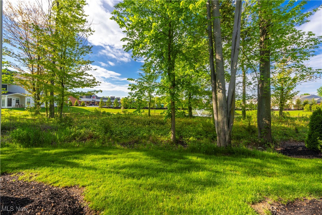 32021 Tuscan Lane #15, Avon Lake, Ohio image 44