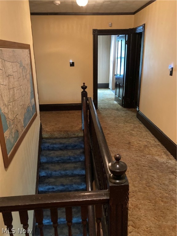 Niles City - Residential