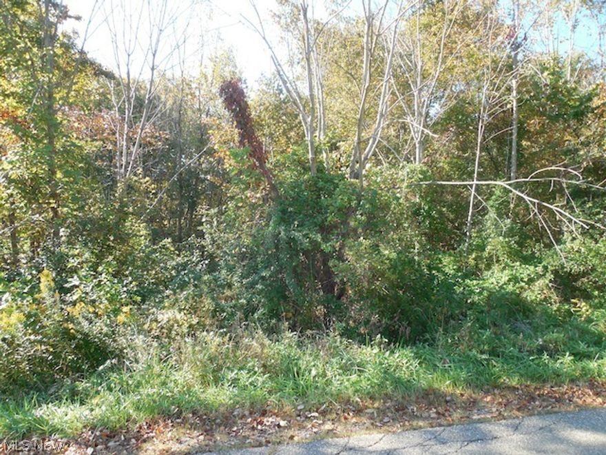 This is 2 acres located in historic Roscoe Village