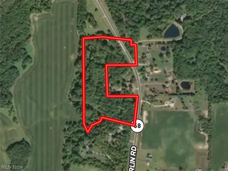 Discover a rare opportunity to own 17.53 +/- beautiful wooded acres just north of Wellington off SR 58 in Lorain County. This one-of-a-kind property features an impressive stand of mature red oak, poplar, and hard maple timber, along with a young crop of walnut trees in the bottom, offering excellent future value potential. A winding trail leads through the property to a stunning potential build site tucked in the middle of the woods overlooking the scenic Black River. Wildlife is abundant with many well-used deer trails, fresh turkey scratchings, and tracks throughout the property. Enjoy amazing views, peaceful seclusion, and direct access to excellent outdoor recreation, including fishing opportunities in the Black River. All seller-owned mineral rights will transfer. A truly special property with endless possibilities for recreation, hunting, or building your dream home or getaway cabin.