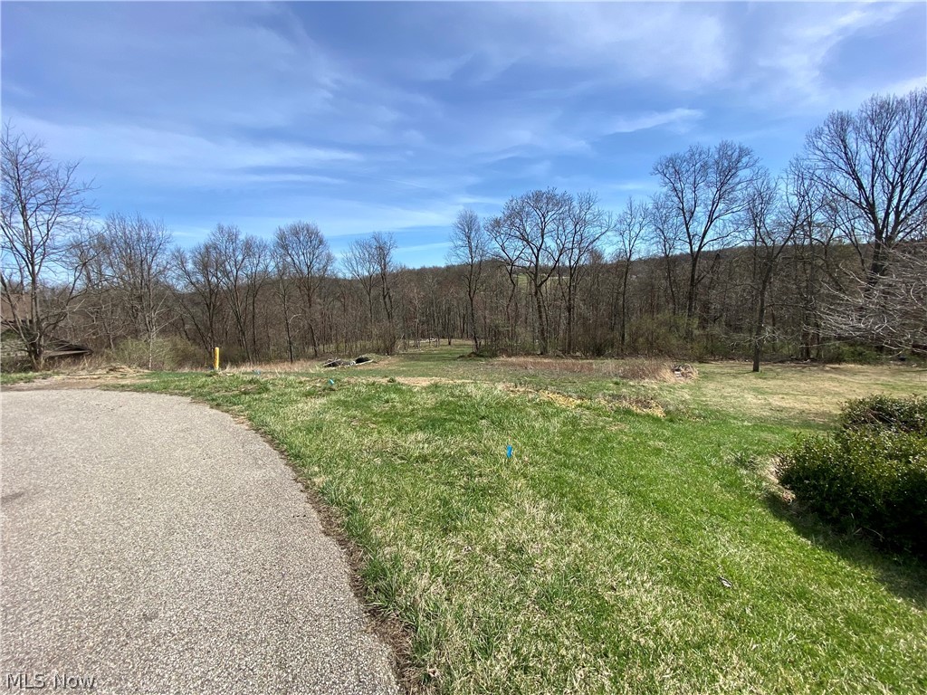 Here is your opportunity to build the home of your dreams! With over 3.06 acres to work with. Located in the Well-Established Eaglepointe Subdivision! Paved Township Street, public water, Electric, and natural gas available. Current owner has already had the soil test completed and an estimate done for septic. All underground utilities. Call today!