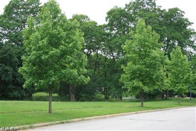 Lighton on Main - Land