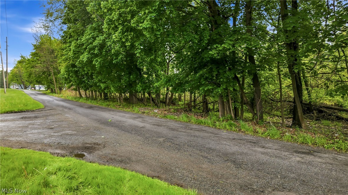 Stewart Avenue