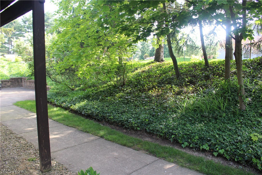 Hampton Woods - Residential