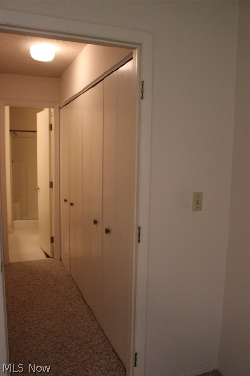 Hampton Woods - Residential