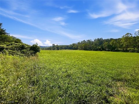 Vacant Land For Sale - State Route 155<br/> Perry County, Corning, OH 43730