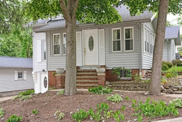 Village/Chippewa Lake - Residential