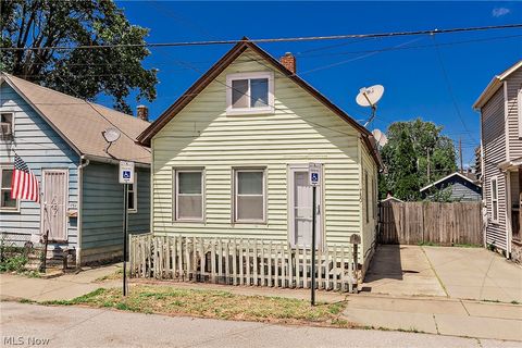 Homes For Sale - 750 Brayton Avenue<br/> Cleveland, OH 44113