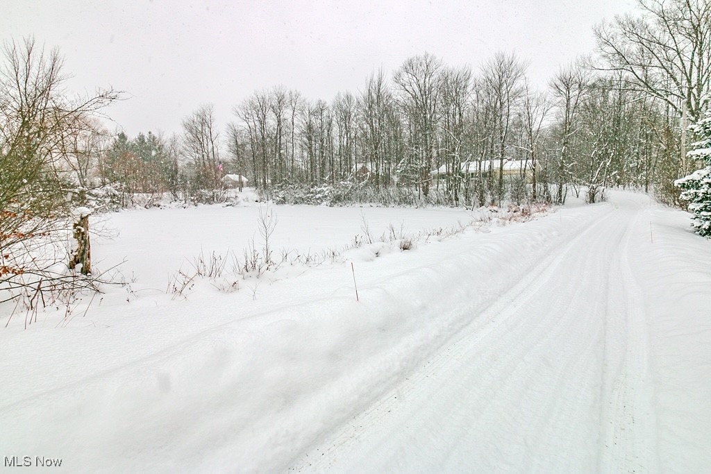 Leroy Township - Residential