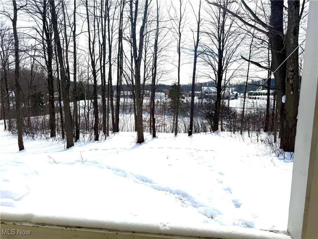 Leroy Township - Residential