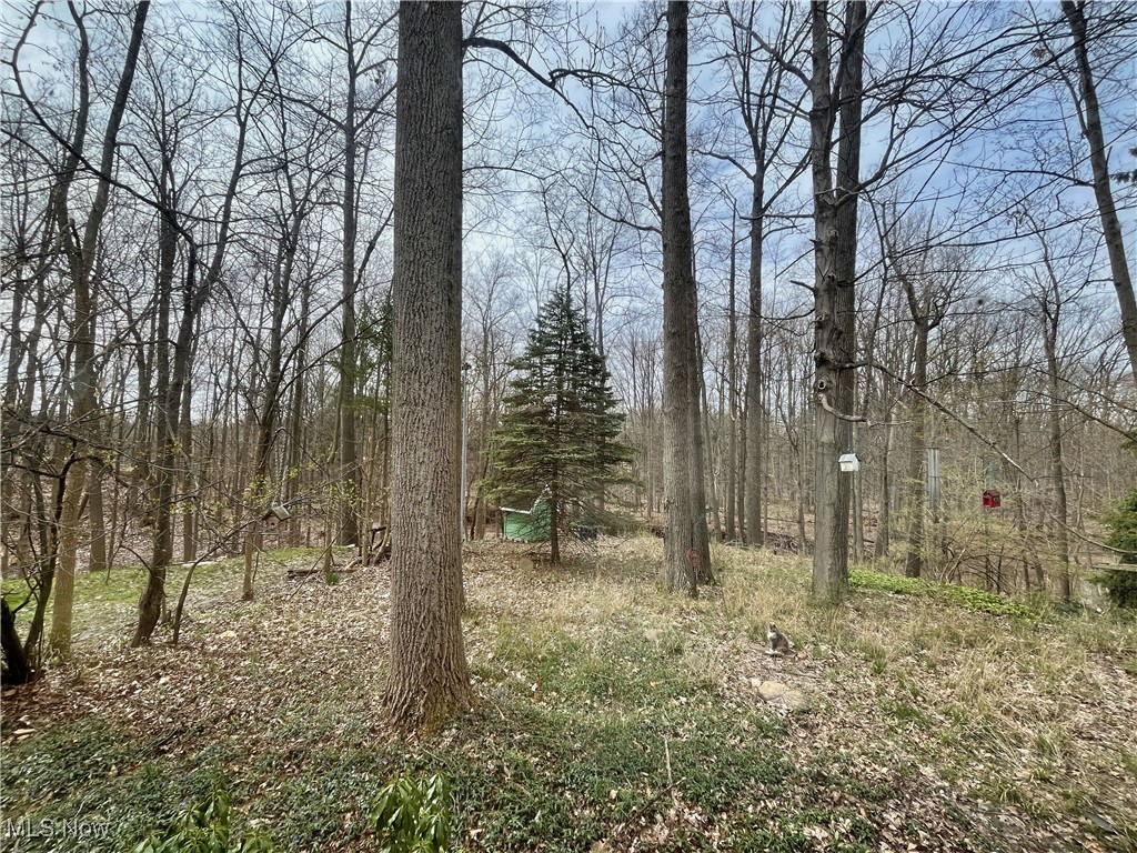 5740 Onaway Oval, Parma, Ohio image 6