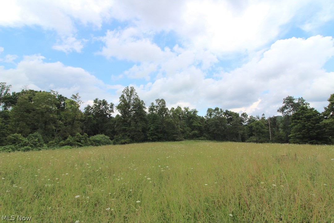 38 acres. Cabin sites. Mix of open and wooded ground. Small pond. Trails through out property. Located off dead end road. Borders national forest on 2 sides. Very secluded. Electric available. Current seller is reserving the mineral rights. Annual taxes are approximately $255.80.