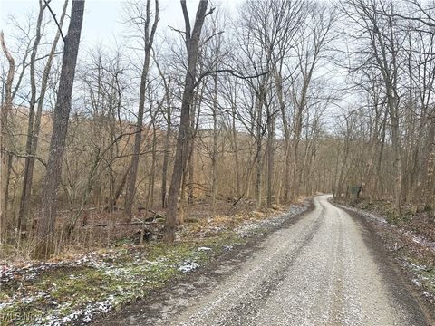 Photo of 4000 Green Road, Tippecanoe, OH 44699 (MLS # 5181173)