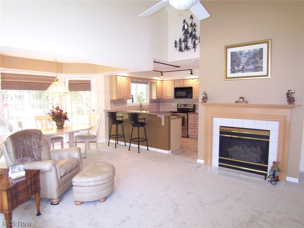 Woodbury Condo - Residential
