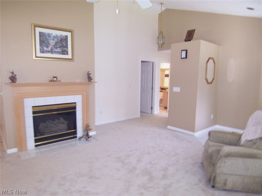 Woodbury Condo - Residential