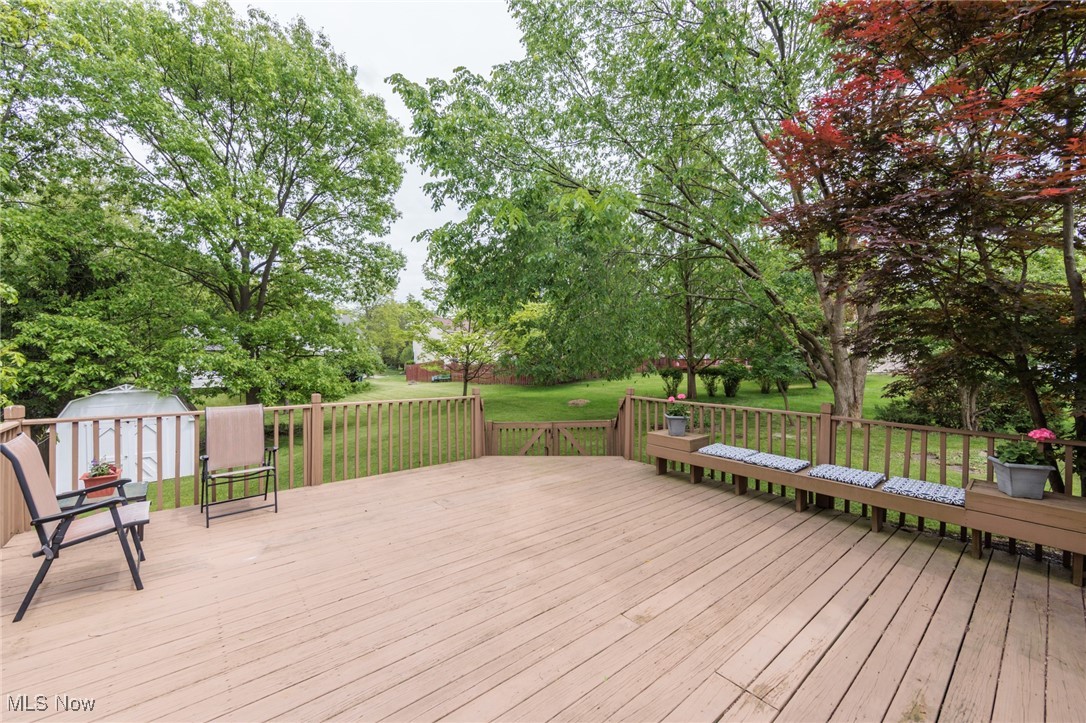 321 Timber Trail, Medina, Ohio image 37