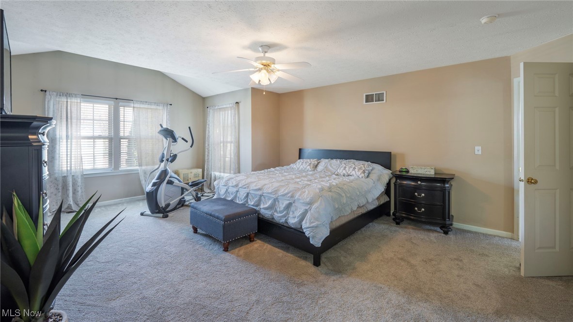 37901 Pebble Lake Trail, North Ridgeville, Ohio image 10