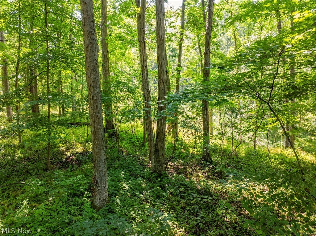Lot 6 Township Rd 51