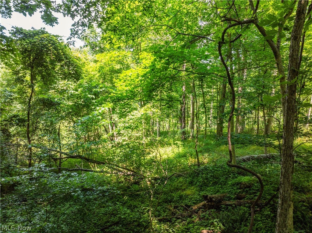 Lot 6 Township Rd 51