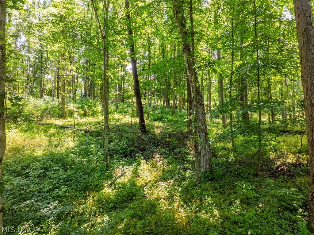 Lot 6 Township Rd 51