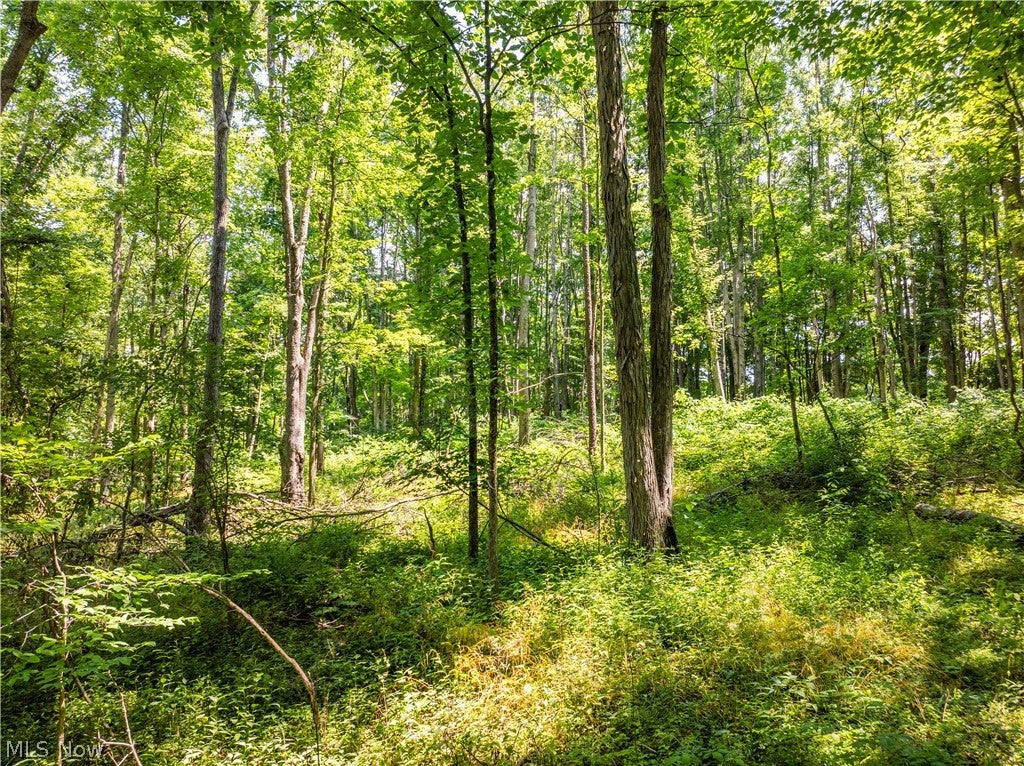 Lot 6 Township Rd 51