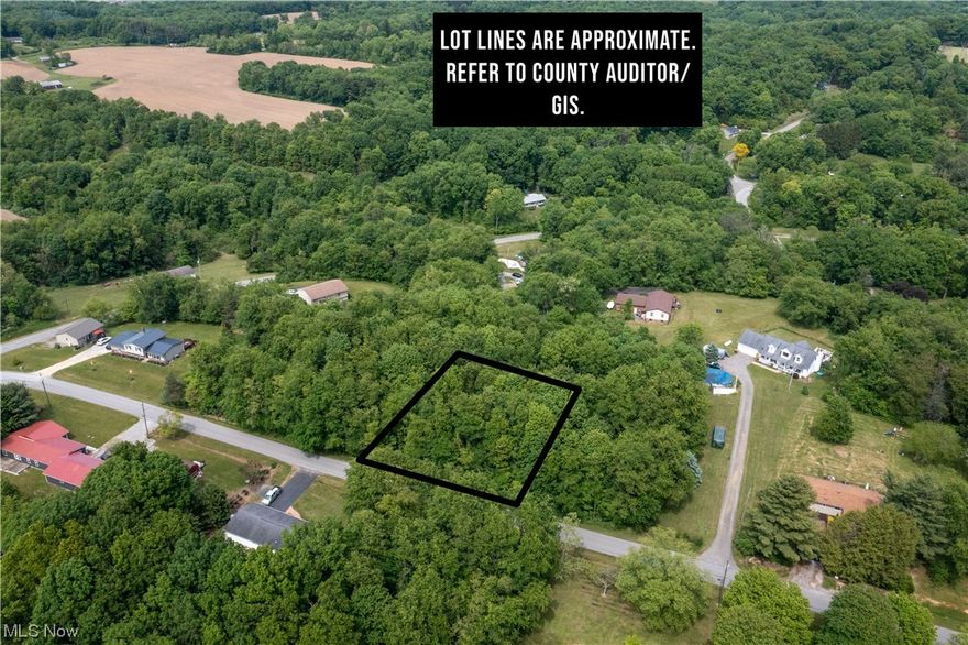 Discover an exceptional opportunity to own a remarkable piece of raw land in the sought-after community of Lake Tomahawk, nestled in the scenic town of Negley, Ohio.  While not directly on the lakefront, the property is conveniently located within close proximity to the shimmering waters of Lake Tomahawk, ensuring easy access to all the recreational activities and natural beauty the area has to offer.hether you enjoy boating, fishing, or simply appreciating the serene surroundings, this land offers the chance to enjoy all that Lake Tomahawk has to offer!