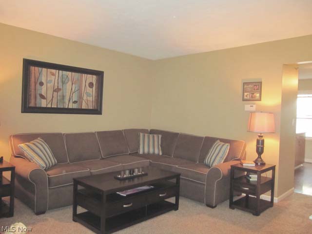 Village Mayfair Condo - Residential