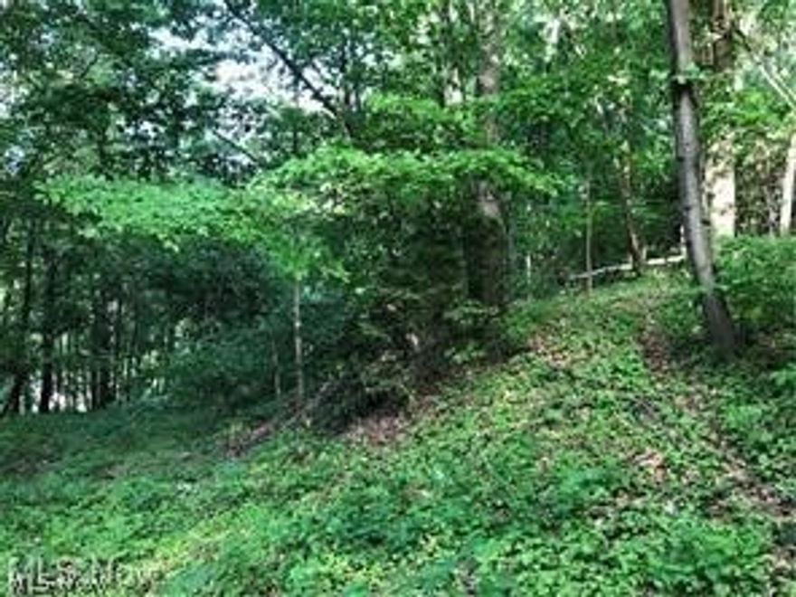This is the building site you have been looking for; 3 lots! Priced just right in a great residential area in the city. This property gives you privacy and also the convenience of the city!