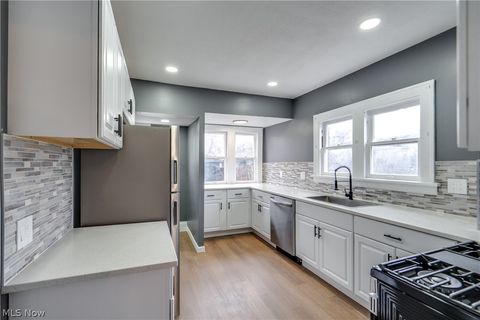 Tiny photo for 10218 Joan Avenue, Cleveland, OH 44111 (MLS # 5188060)