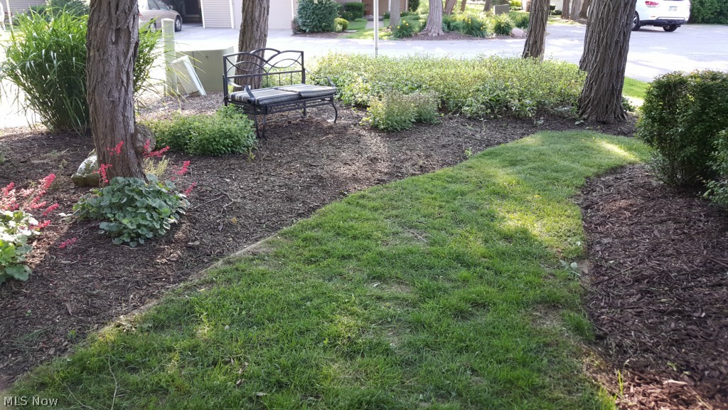 Locust Grove - Residential