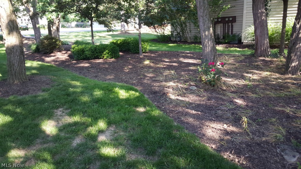 Locust Grove - Residential