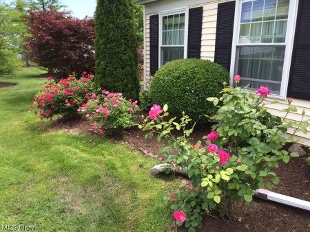 Farmington Meadows Condo 04 - Residential