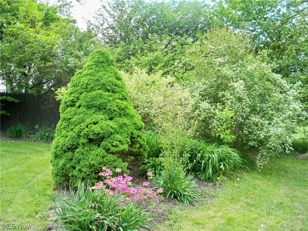 Wilcox Park Estate - Residential