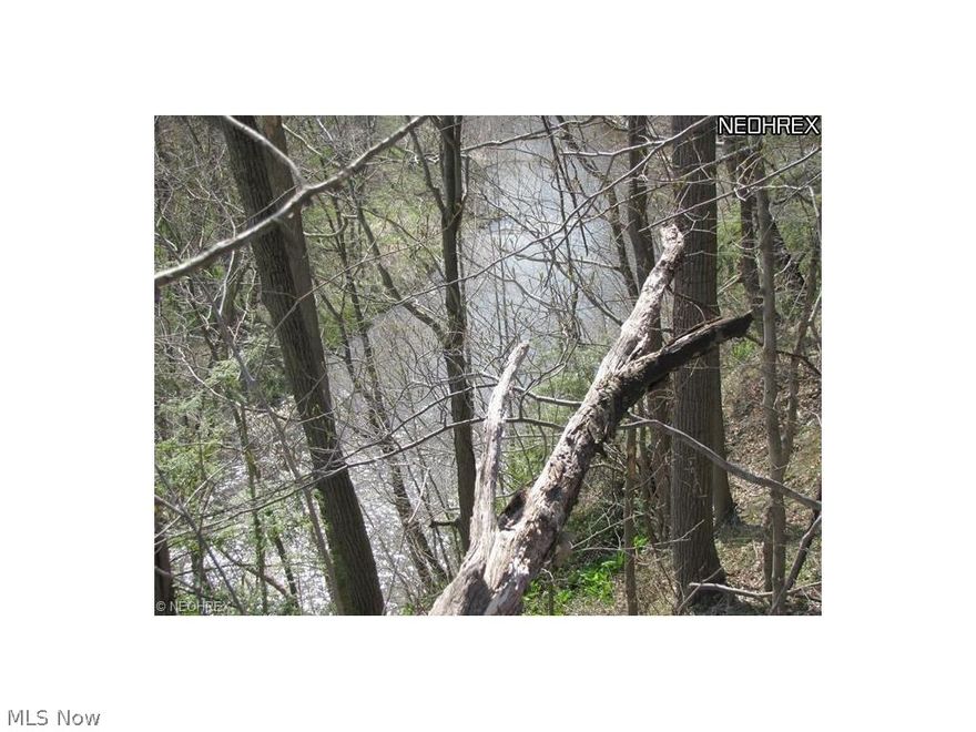 Ready...Set...GO! Here’s a great opportunity to purchase a hard to find Ashtabula River Frontage vacant land parcel situated in Plymouth Twp (BUCKEYE SCHOOLS) with E-Z access to I-90 and Rte 11. Loaded with wildlife this 24.29+/- acre parcel offers approx 700 feet of high bank river frontage, all gas and oil rights with no leases in place! A great location for a new home site or use as a recreational property. Better hurry on this one because land like this doesn’t come available often. Call today!