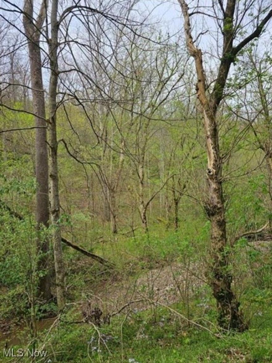 Discover the wild beauty of 1247 Rocky Branch Rd in Looneyville, WV. This 8.88-acre slice of Roane County, West Virginia offers raw, unimproved land with a mix of rugged, sloped terrain perfect for hiking, hunting, or simply enjoying the peace and seclusion. Showens Run Creek runs through across the front of the property, adding a tranquil touch to the natural landscape.  There's a potential building spot if you're looking to create a remote getaway or hunting retreat.  No restrictions - just woods, water and wildlife.