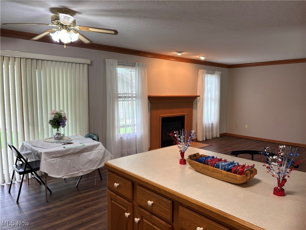 603 Meadow Lane, Wellington, Ohio image 4