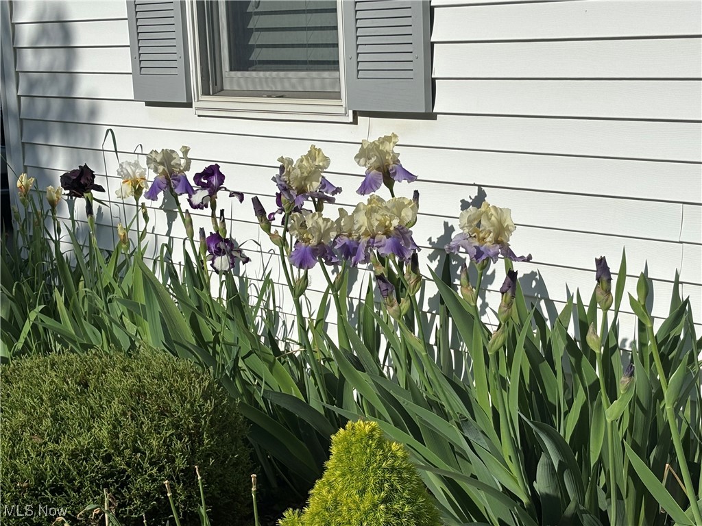 603 Meadow Lane, Wellington, Ohio image 34