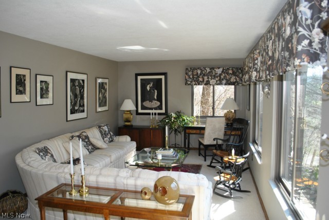 Towpath - Residential