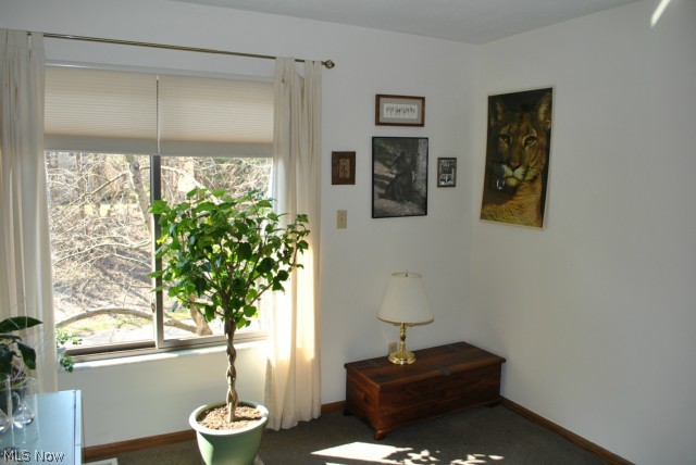 Towpath - Residential