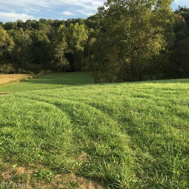 Creek on property. Public water available. Buyer to be responsible for CAUV recoupment if not left in CAUV. Restricted against single wides & campers. Also no unsightly trash or disabled vehicles or eguipment yard. Old house across the street being torn down in the spring.