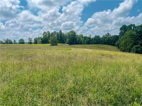 Vacant Land For Sale - 226 Banner Hill Rd.<br/> Roane County, Spencer, WV 25276