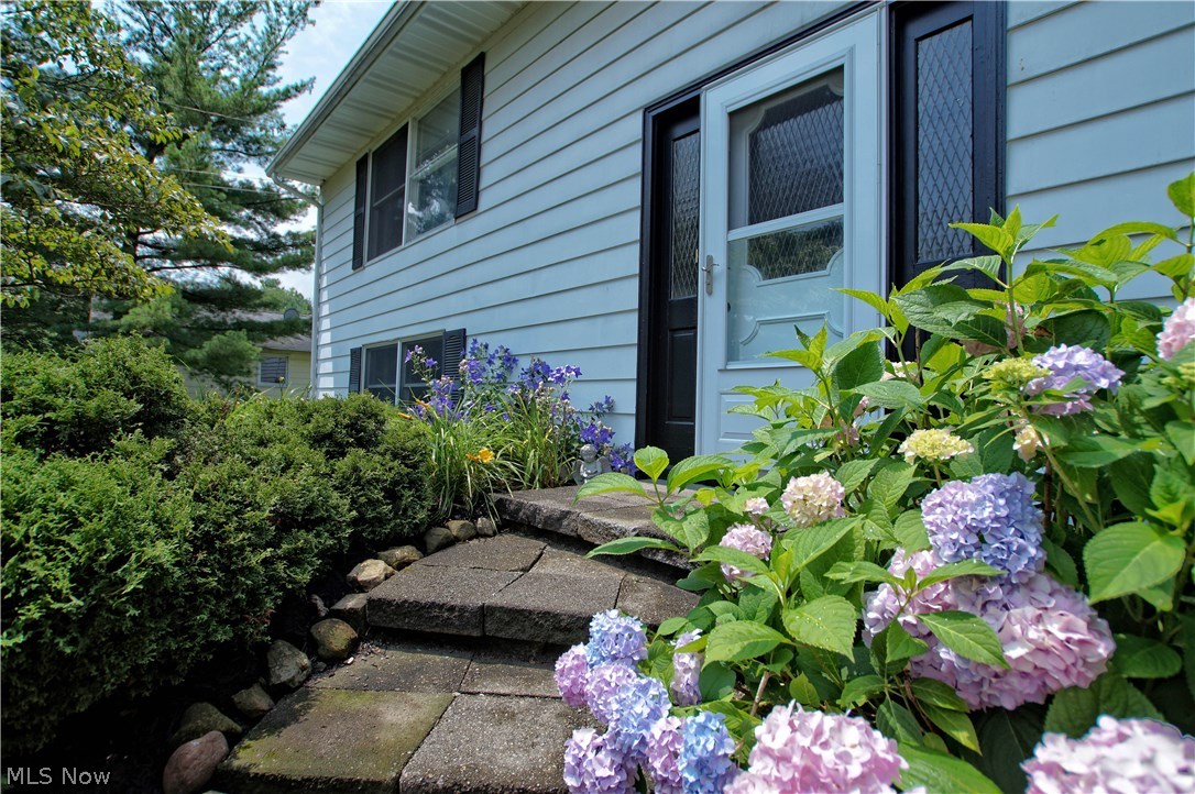 Lee Ann - Residential