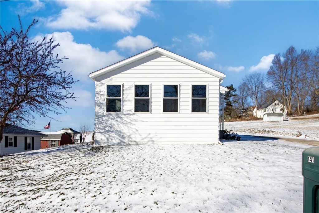 Photo of 141 Orchard Street, Shreve, OH 44676 (MLS # 5182716)