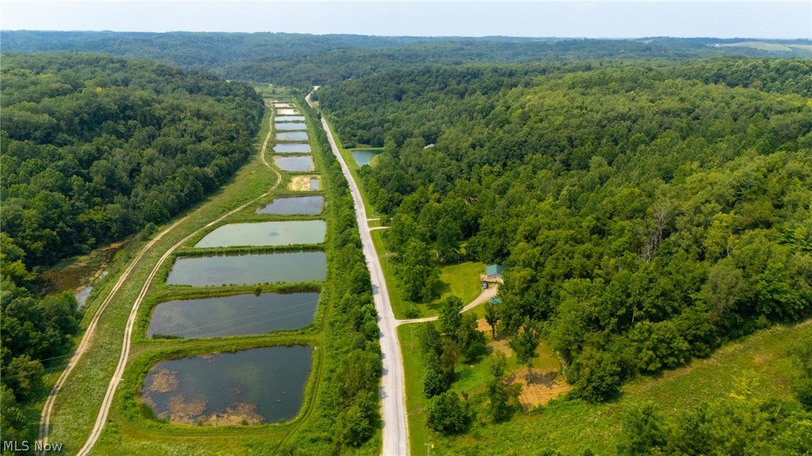 Flushing Waterworks Road