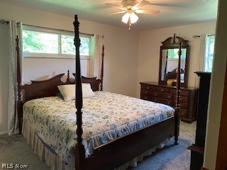 Mantua - Residential