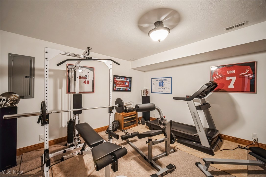 3803 Hamilton Road, Medina, Ohio image 30