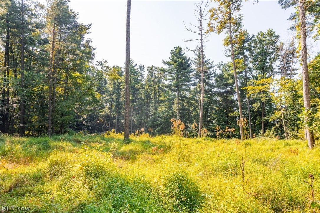 Pumpkin Ridge Road